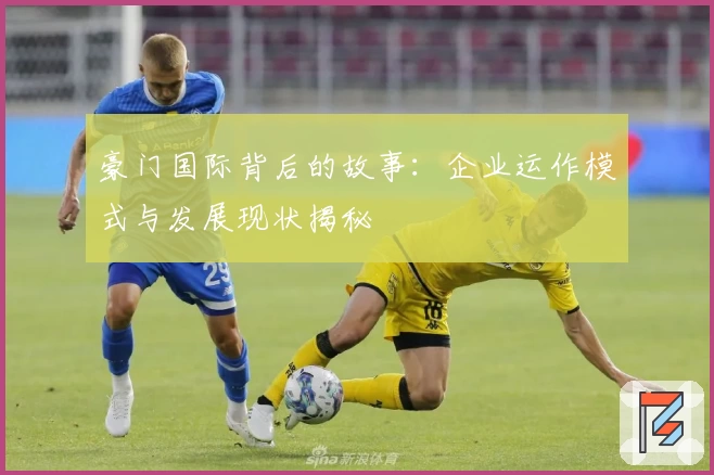 豪门国际背后的故事：企业运作模式与发展现状揭秘