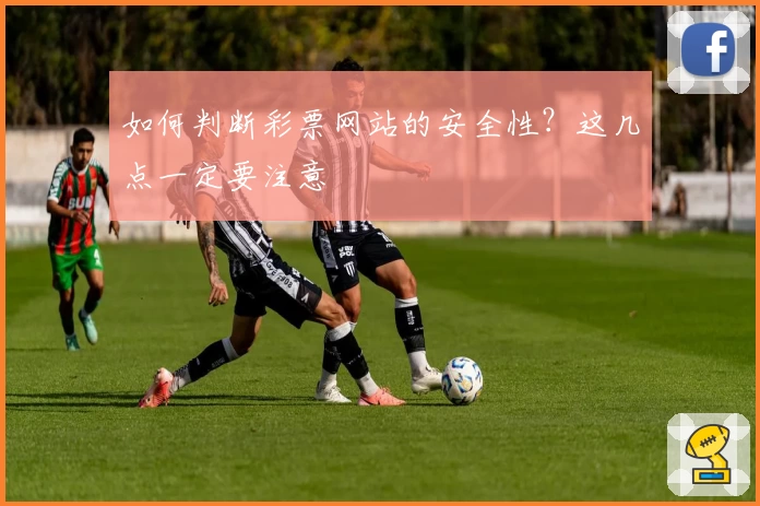 如何判断彩票网站的安全性？这几点一定要注意