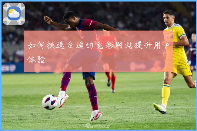 如何挑选合适的竞彩网站提升用户体验