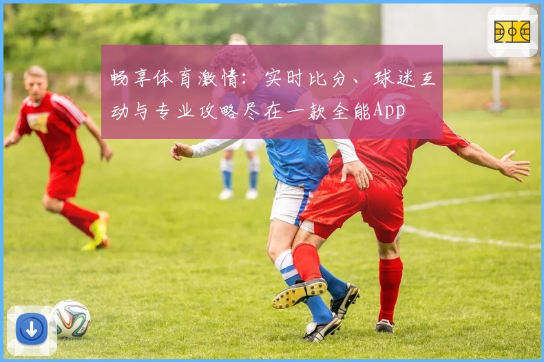 畅享体育激情：实时比分、球迷互动与专业攻略尽在一款全能App