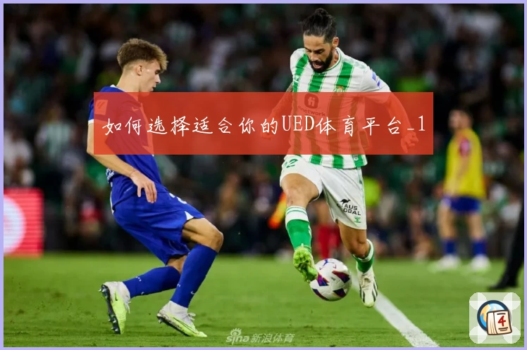 如何选择适合你的UED体育平台_1