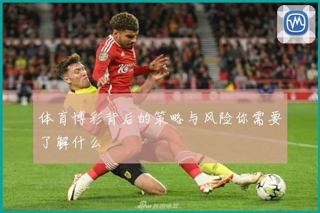 体育博彩背后的策略与风险你需要了解什么