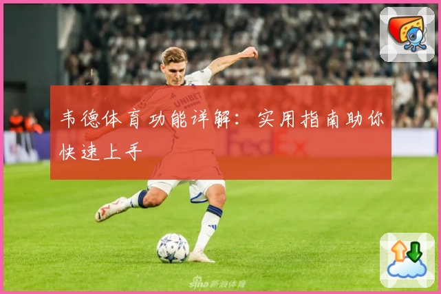 韦德体育功能详解：实用指南助你快速上手