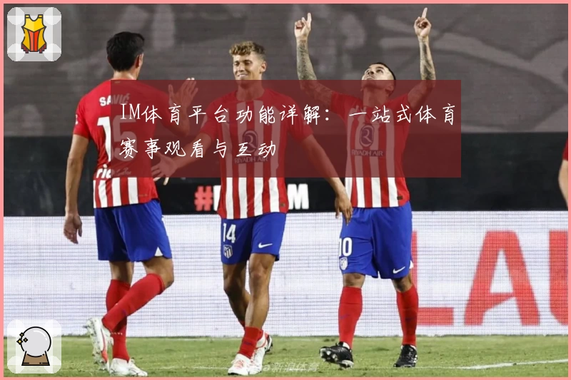 IM体育平台功能详解：一站式体育赛事观看与互动