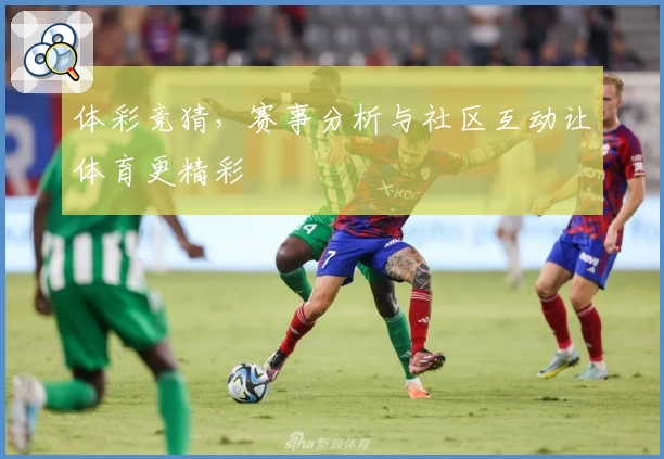 体彩竞猜，赛事分析与社区互动让体育更精彩