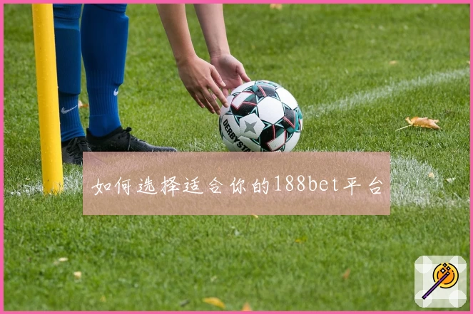 如何选择适合你的188bet平台