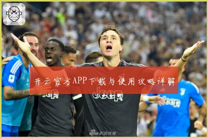 开云官方APP下载与使用攻略详解