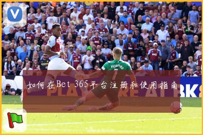 如何在Bet 365平台注册和使用指南