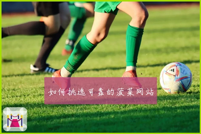 如何挑选可靠的菠菜网站