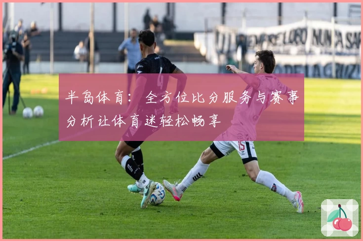 半岛体育：全方位比分服务与赛事分析让体育迷轻松畅享