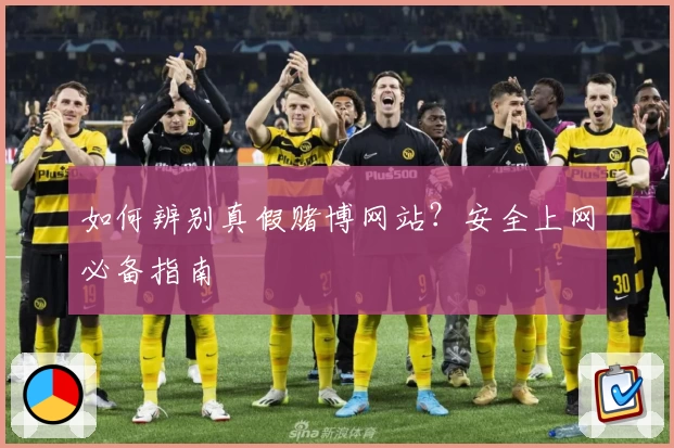 如何辨别真假赌博网站？安全上网必备指南