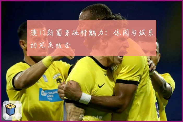 澳门新葡京独特魅力:休闲与娱乐的完美结合