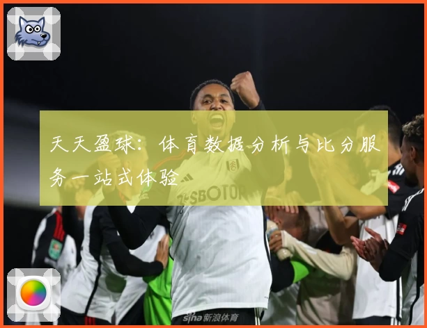 天天盈球：体育数据分析与比分服务一站式体验
