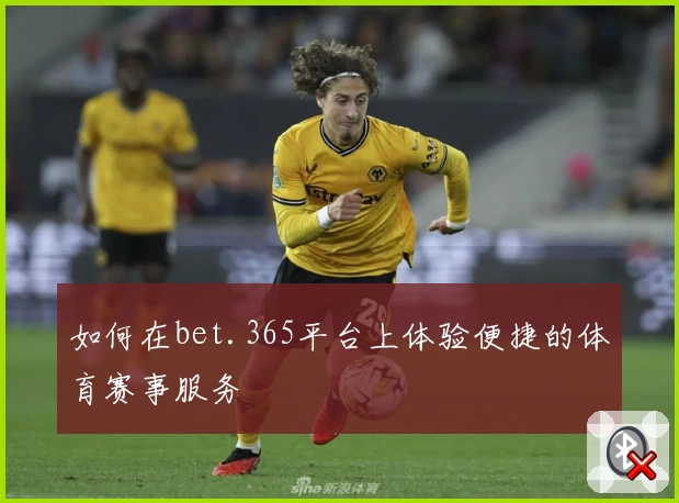 如何在bet.365平台上体验便捷的体育赛事服务