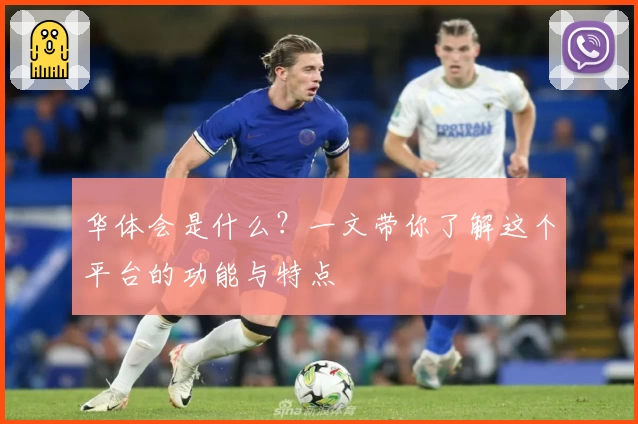 华体会是什么？一文带你了解这个平台的功能与特点