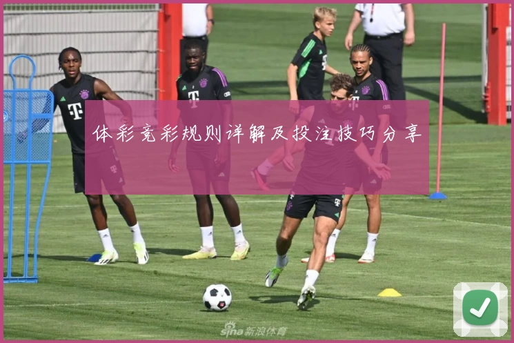 体彩竞彩规则详解及投注技巧分享