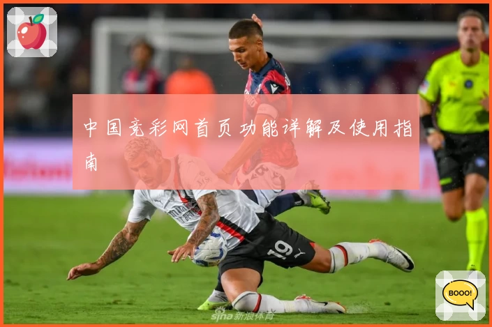 中国竞彩网首页功能详解及使用指南