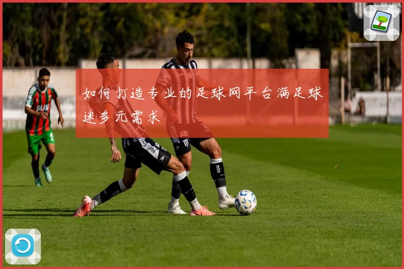 如何打造专业的足球网平台满足球迷多元需求