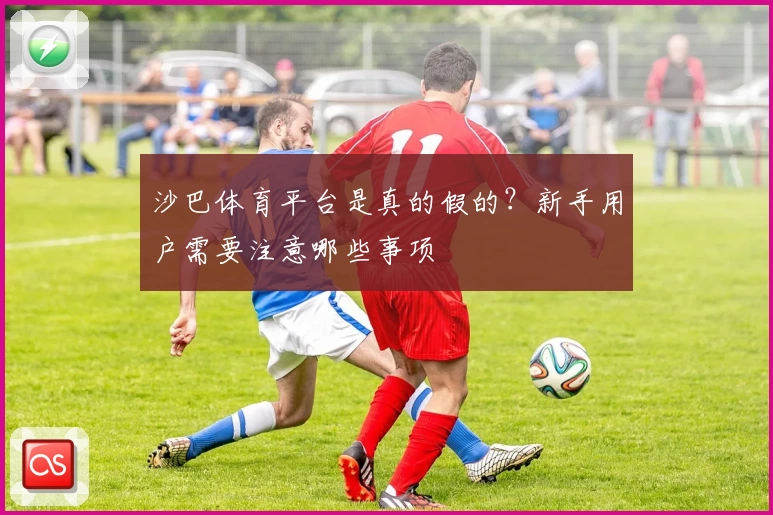 沙巴体育平台是真的假的？新手用户需要注意哪些事项