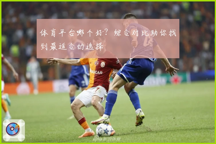 体育平台哪个好？综合对比助你找到最适合的选择