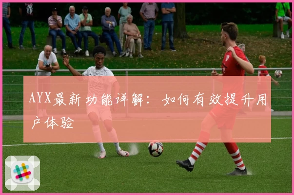 AYX最新功能详解：如何有效提升用户体验