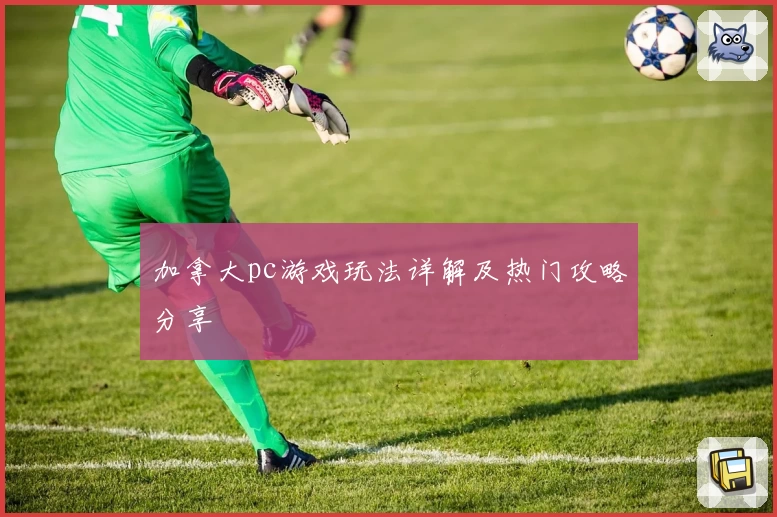 加拿大pc游戏玩法详解及热门攻略分享