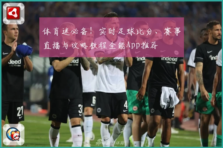 体育迷必备！实时足球比分、赛事直播与攻略教程全能App推荐