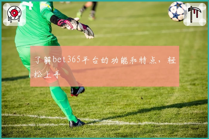 了解bet365平台的功能和特点，轻松上手