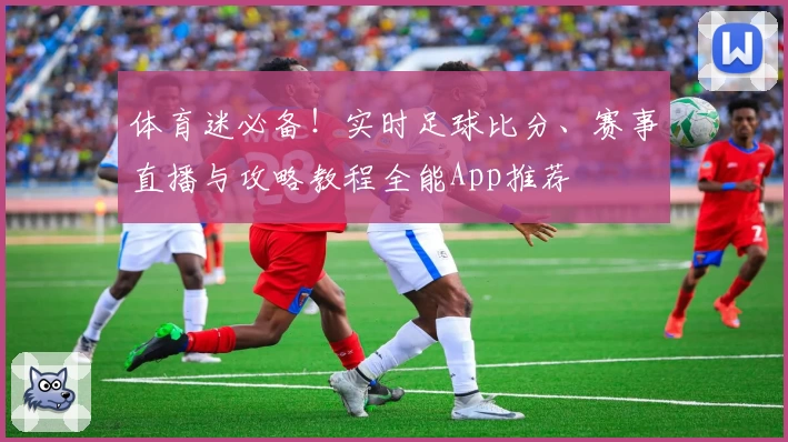 体育迷必备！实时足球比分、赛事直播与攻略教程全能App推荐