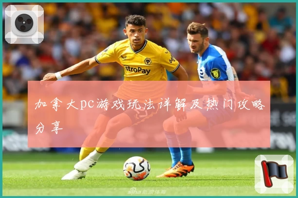 加拿大pc游戏玩法详解及热门攻略分享