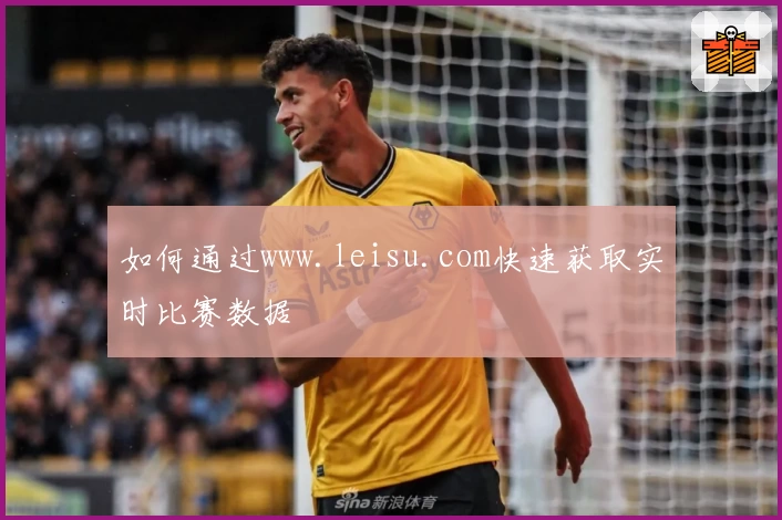 如何通过www.leisu.com快速获取实时比赛数据