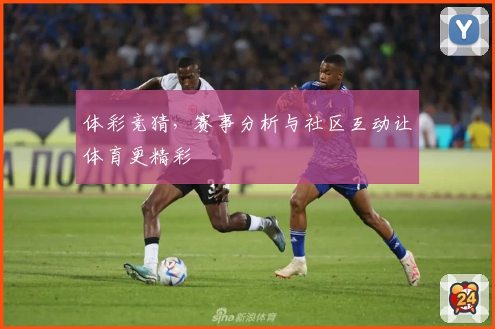 体彩竞猜，赛事分析与社区互动让体育更精彩