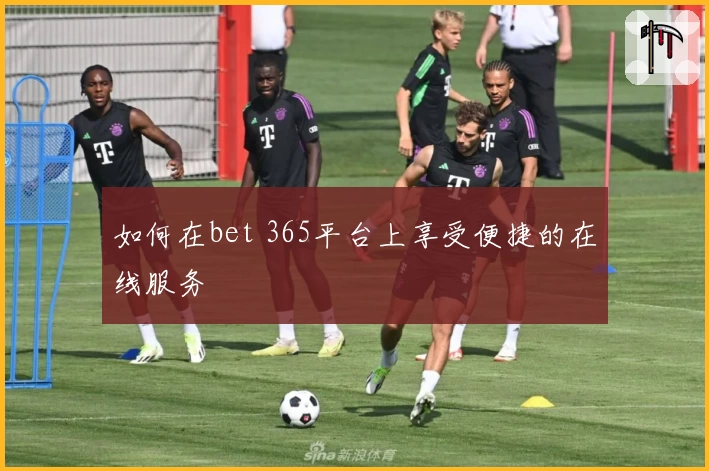 如何在bet 365平台上享受便捷的在线服务