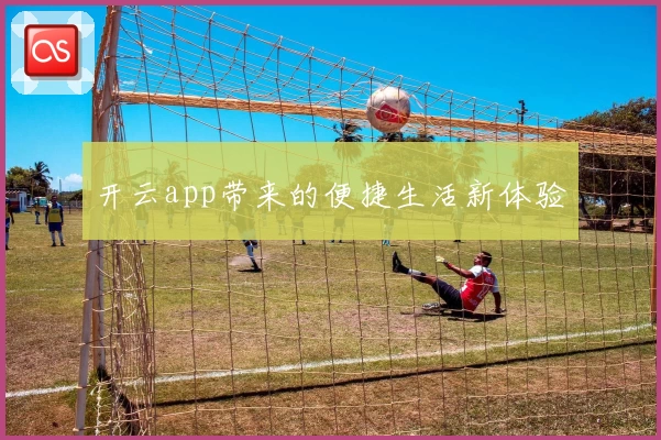 开云app带来的便捷生活新体验