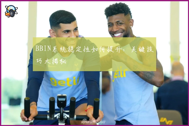 BBIN系统稳定性如何提升,关键技巧大揭秘