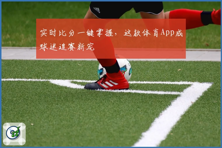 实时比分一键掌握，这款体育App成球迷追赛新宠