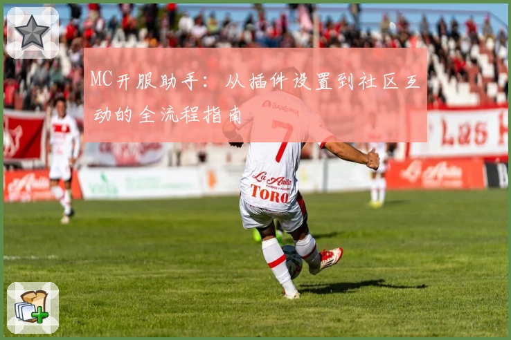 MC开服助手：从插件设置到社区互动的全流程指南