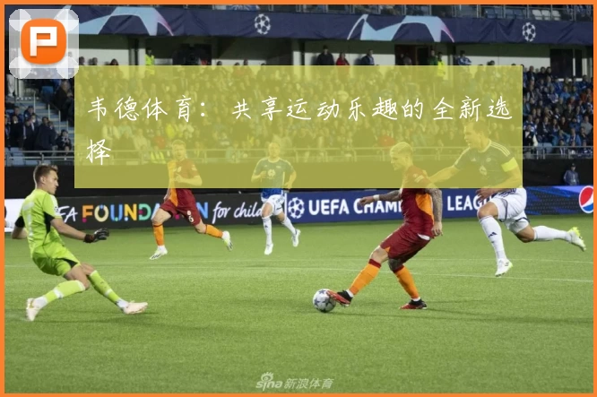 韦德体育：共享运动乐趣的全新选择