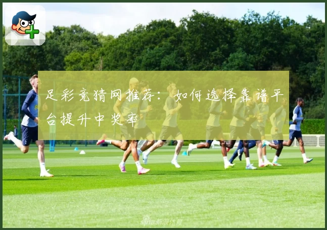 足彩竞猜网推荐:如何选择靠谱平台提升中奖率