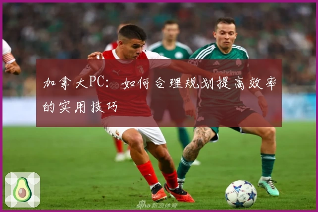 加拿大PC:如何合理规划提高效率的实用技巧