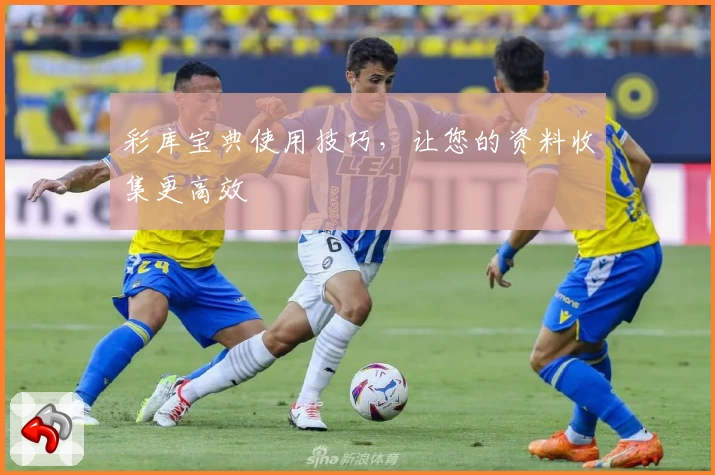 彩库宝典使用技巧，让您的资料收集更高效