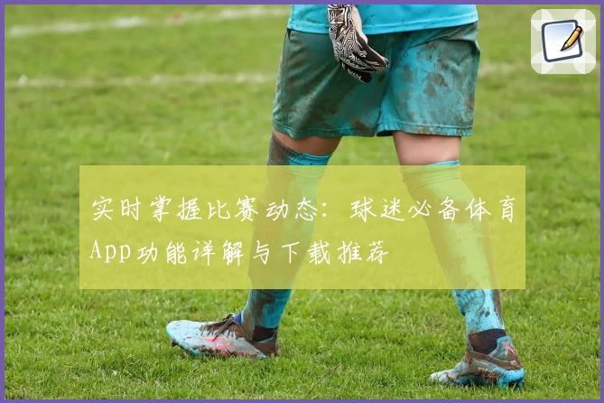实时掌握比赛动态：球迷必备体育App功能详解与下载推荐